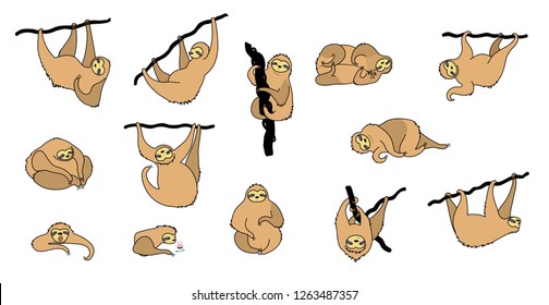 Vector illustration set of cute character sloth. Isolated cartoon baby climbing sloths. Hand drawn jungle animal hanging on a branch of tree. Drawing for print, fabric, textile, poster etc. 