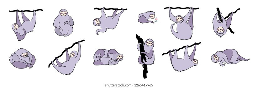 Vector illustration set of cute character sloth. Isolated cartoon baby climbing sloths. Hand drawn jungle animal hanging on a branch of tree. Drawing for print, fabric, textile, poster etc. 