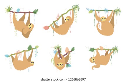 Vector illustration set of cute character sloth. Isolated cartoon baby climbing sloths. Hand drawn jungle animal hanging on a branch of tree. Drawing for print, fabric, textile, poster etc. 