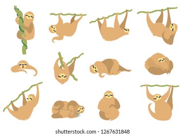 Vector illustration set of cute character sloth. Isolated cartoon baby climbing sloths. Hand drawn jungle animal hanging on a branch of tree. Drawing for print, fabric, textile, poster etc. 