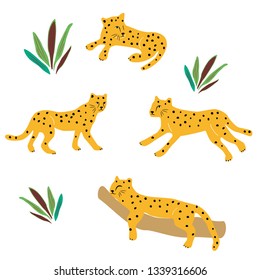 Vector illustration set of cute cheetah