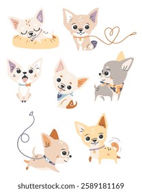 Vector illustration set of cute Chihuahua dogs in various poses and emotions. Hand-drawn in a playful style, perfect for pet-themed designs, greeting cards, stickers, packaging.