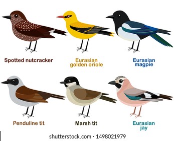 Vector illustration set of cute European bird cartoons - Spotted nutcracker, Eurasian golden oriole, Marsh tit, Eurasian magpie, Penduline tit, Eurasian jay