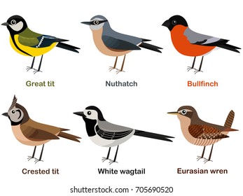 Dibujo vectorial conjunto de tiras cómicas de aves europeas lindas - Gran teta, Nuthatch, Bullfinch, teta de ceño, cola blanca, Wren euroasiático