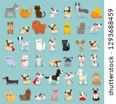 Vector illustration set of cute and funny cartoon pet characters. Different breed of dogs and cats in the flat style