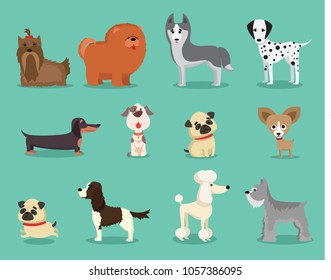 Vector illustration set of cute and funny cartoon breed of dog- dachshund, pug, poodle, bulldog, chihuahua, chow chow ,spaniel and other