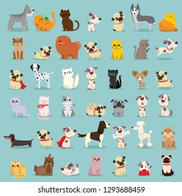 Vector illustration set of cute and funny cartoon pet characters. Different breed of dogs and cats in the flat style