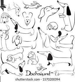 Vector illustration set of cute and funny Dachshunds 