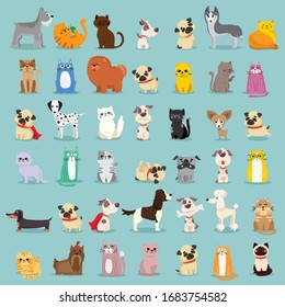 Vector illustration set of cute and funny cartoon pet characters. Different breed of dogs and cats in the flat style