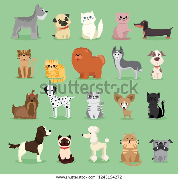 Pet characters. Pet faces cartoon.