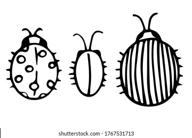 Vector illustration. Set of  cute little unpainted bugs: colorado potato beetle, ladybird, cockroach isolated on white. Hand drawn simple doodle clipart. For logo, banner, poster. 