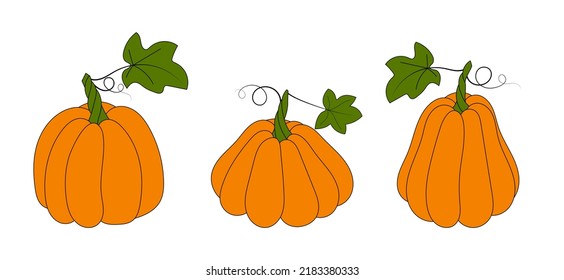 Vector illustration. Set of cute pumpkins of different shapes isolated on white. Hand drawn simple doodle clipart in a trendy style. Halloween theme. For menu, logo, food banner, cards, pattern.