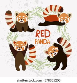 vector illustration. Set of cute red pandas.