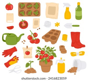 Vector illustration set of cute tomato stage for digital stamp,greeting card,sticker,icon,design