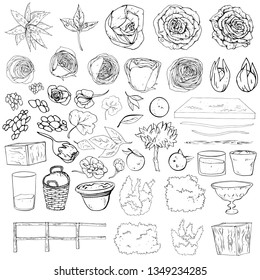 Vector illustration set of cute wedding decorations doodles black and white. Plants isolated on white background. Flowers, bushes, vases, decor