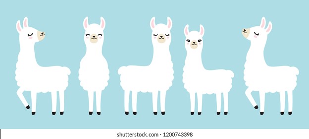 Vector illustration set of cute white llama in different postures.
