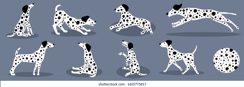 Vector illustration of set dalmatians