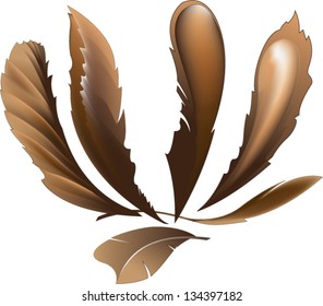 Vector illustration. A set of decorative feathers.