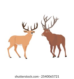 Vector illustration set of deer in cartoon flat style. Male or female deer wild life animal isolated in white background. Cute different poses deer with long horns for logo, icon, infographic, symbol