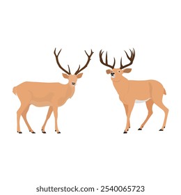 Vector illustration set of deer in cartoon flat style. Male or female deer wild life animal isolated in white background. Cute different poses deer with long horns for logo, icon, infographic, symbol