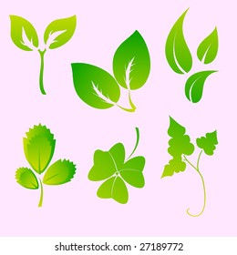 Vector illustration set of design leaves silhouettes