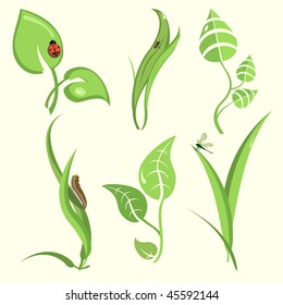 Vector illustration set of design plant leaves with funny insects