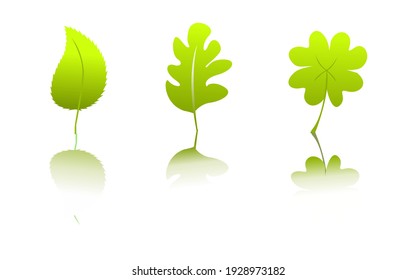 Vector illustration set of design plants
