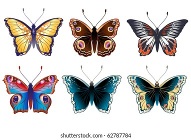 Vector Illustration set of detailed Brightly colored butterflies.