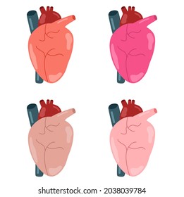 Vector illustration set of a detailed heart, suitable for advertising health and education products