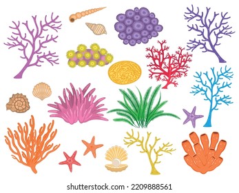 Vector illustration of a set of different algae and coral.