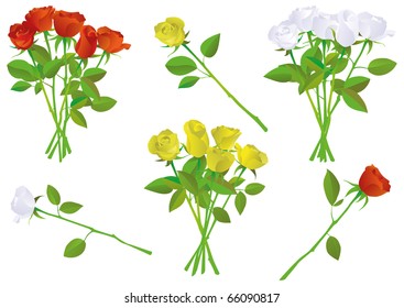 Vector illustration set of different colorful roses. All roses are isolated and grouped and can all be used individually. Colors and transparent background color are easy to adjust.