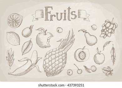 Vector illustration. Set of different fruit painted in engraving style on old yellowed paper.