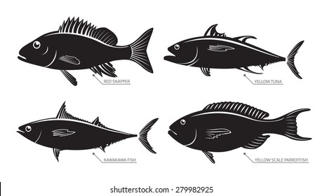 Vector illustration set of different kinds of fish. Silhouette of sea and river fish for stamps and labels isolated on white background