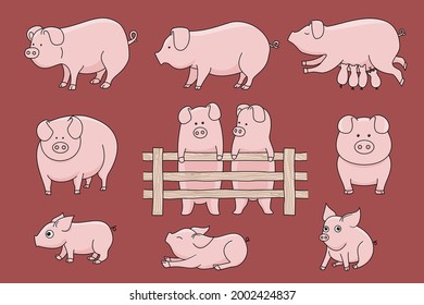 Vector illustration set of different pig poses in a cute cartoon style.sleeping, standing, walking, breastfeeding, on a dark red background, hand drawn