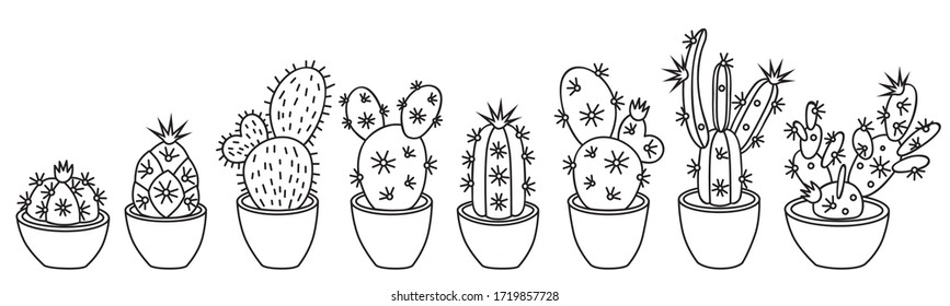 Vector illustration of a set of different succulents and cacti. Big set for background, packaging paper, stickers for children