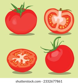 Vector illustration of set of different tomatoes isolated on background. Vector illustration in cartoon flat style. Whole, sliced, quarter, half of a tomato fruit with branch and leaves for graphic