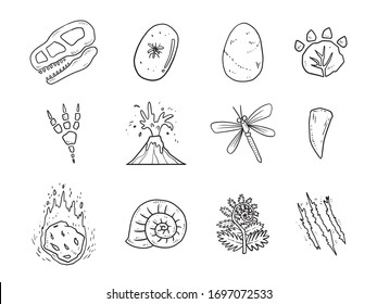 vector illustration set of dinosuar. ancient plants and fossil hand drawn.