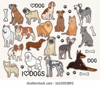 vector illustration of a set of dog breeds, a variety of dogs, characters of different breeds, color image, veterinary stickers veterinary dogs