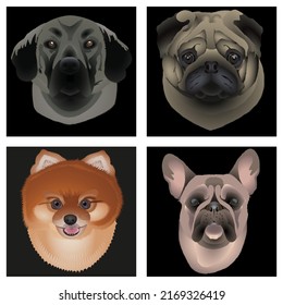 Vector illustration set. Dog head on a black background. Pomeranian dog, anatolian shepherd dog, french bulldog,  pug dog.