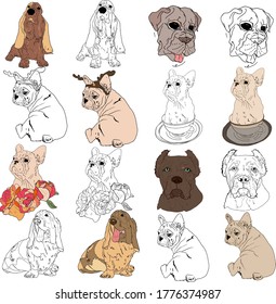 Vector illustration of a set of dogs. Basset hound, mastiff, Cane сorso, French Bulldog blank for the designer, print packaging, cards, coloring, clothes, interior, icon, logo