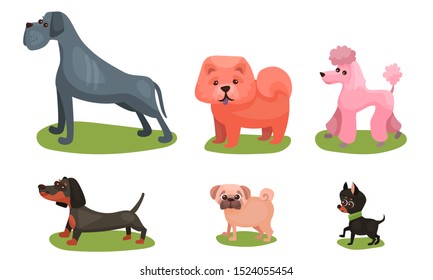 Vector Illustration Set With Dogs Breed Isolated On White Background