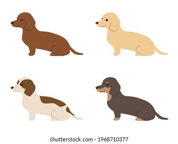 vector illustration set of dogs. dachshund 