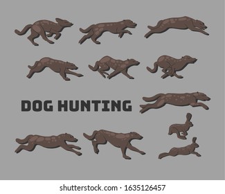 vector illustration of a set of dogs in motion, the dynamics of the animal's running. The hunting of the hare, rabbit, anatomy, movement