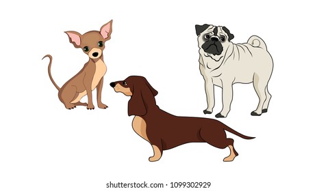 Vector illustration, set of  dogs, on a white background