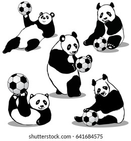 Vector Illustration, set of doodle Pandas Holds Soccer Ball