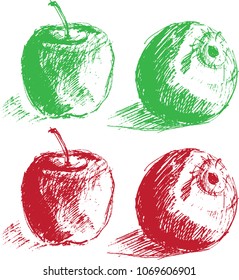 Vector illustration: a set of drawn apples in the form of a pencil sketch. Apples drawn schematically and graphically in pencil.