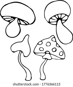 Vector illustration of a set of edible and inedible mushrooms in the Doodle style. Mushroom, porcini mushroom, tomato, toadstool.Black outline on an isolated white background. Concept of ecology