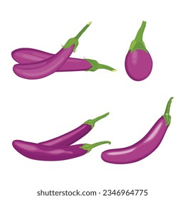 Vector illustration of set eggplants vegetable in cartoon flat style. Bright purple violet of Aubergine Solanum melongena healthy food nutritious isolated in white background. Edible nature for diet