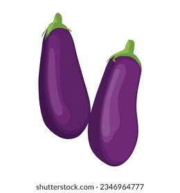 Vector illustration of set eggplants vegetable in cartoon flat style. Bright purple violet of Aubergine Solanum melongena healthy food nutritious isolated in white background. Edible nature for diet