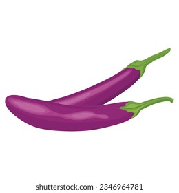Vector illustration of set eggplants vegetable in cartoon flat style. Bright purple violet of Aubergine Solanum melongena healthy food nutritious isolated in white background. Edible nature for diet